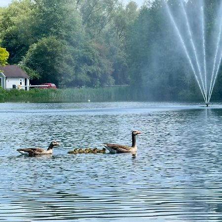 Luxury Kingfisher Lodge, Isis Lake, Within The Cotswold Waterpark Cirencester Eksteriør bilde