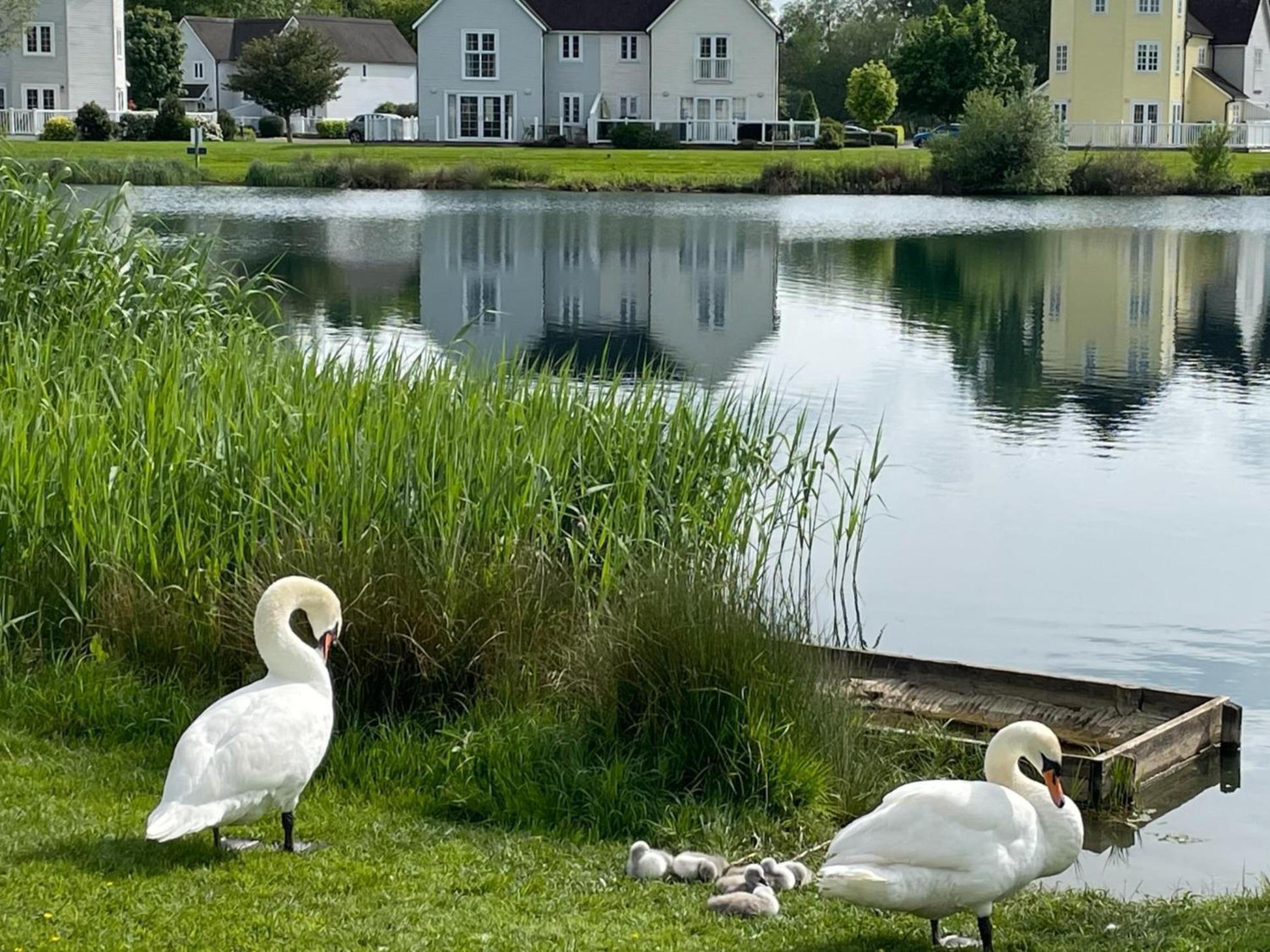 Luxury Kingfisher Lodge, Isis Lake, Within The Cotswold Waterpark Cirencester Eksteriør bilde